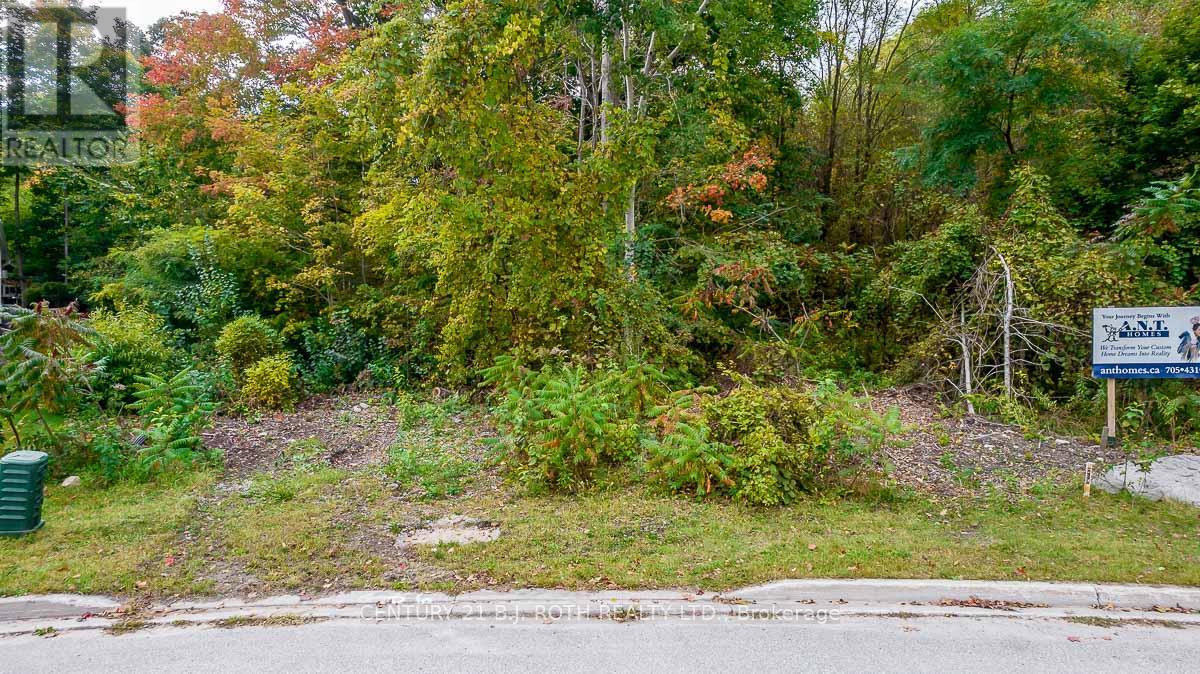 548 Taylor Drive, Midland, Ontario  L4R 0E2 - Photo 6 - S12474580