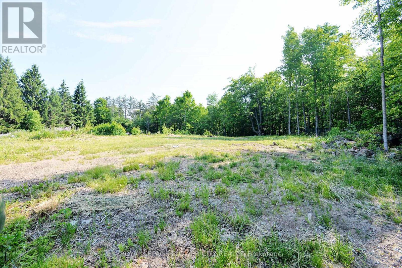 15790 Mississauga Road, Caledon, Ontario  L7C 1W8 - Photo 43 - W12474575