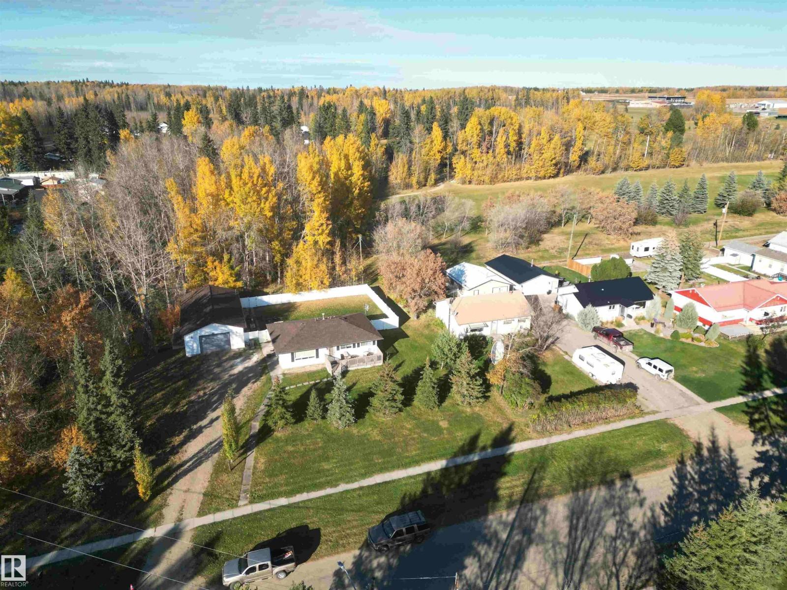5036 53 Ave, Breton, Alberta  T0C 0P0 - Photo 24 - E4462970