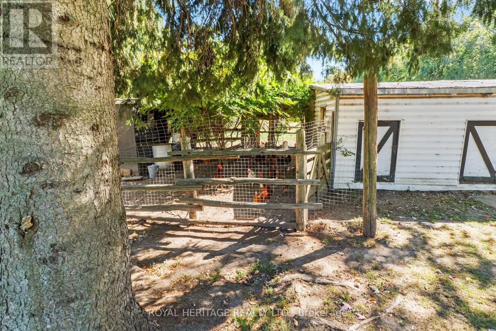 10629 County Rd 2 Road, Alnwick/haldimand, Ontario  K0K 2G0 - Photo 38 - X12474635