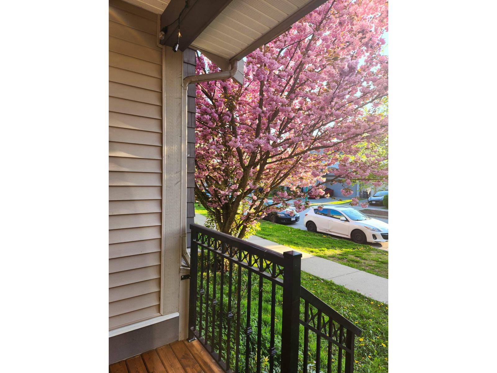 7032 195a Street, Surrey, British Columbia  V4N 5Z2 - Photo 13 - R3060499