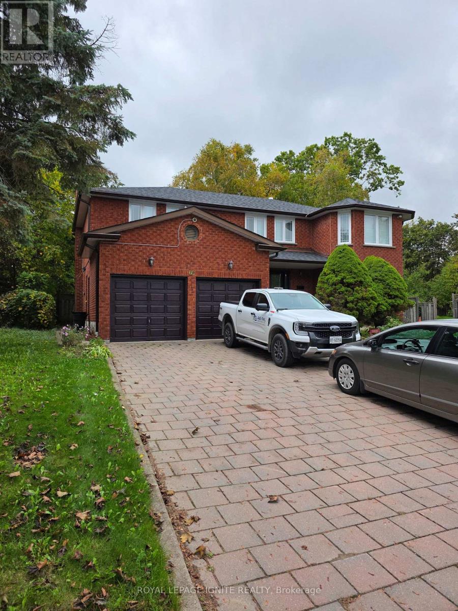 Bsmt - 75 Glenthorne Drive, Toronto, Ontario  M1C 3Y2 - Photo 2 - E12474851