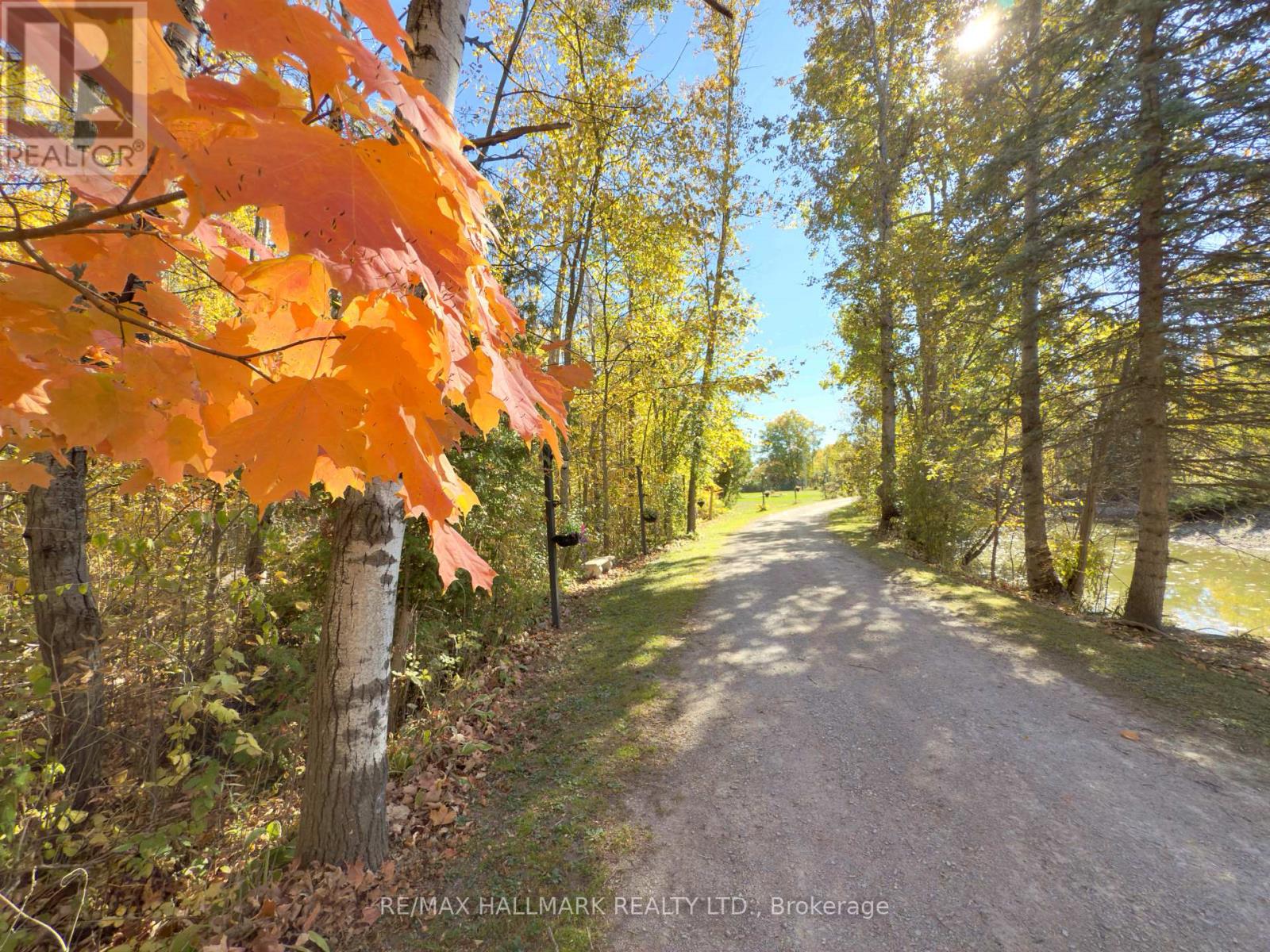 1114 Goshen Road, Innisfil, Ontario  L9S 2M5 - Photo 22 - N12473994