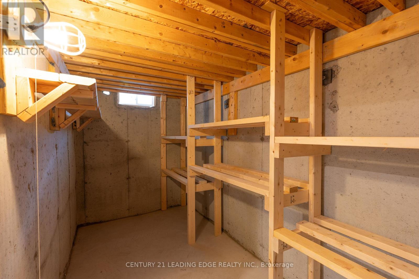 1163 Stuffles Crescent, Newmarket, Ontario  L3X 0E4 - Photo 42 - N12469975