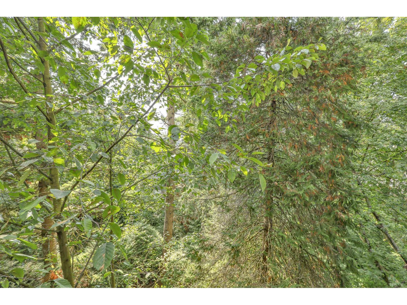 304 19830 56 Avenue, Langley, British Columbia V3A 0A5 - Photo 27 - R3047279