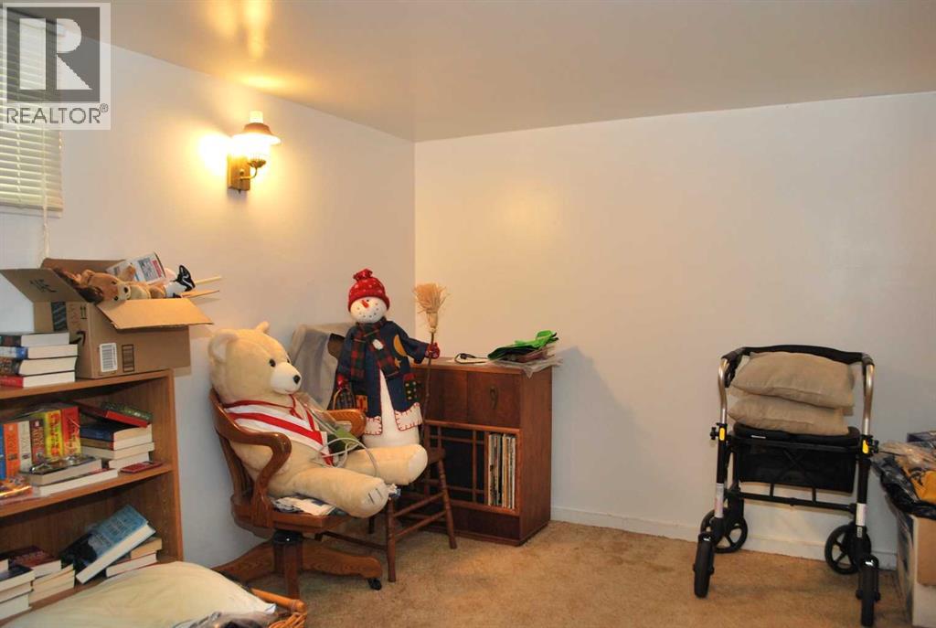 246 N 100 E, Raymond, Alberta  T0K 2S0 - Photo 23 - A2265761