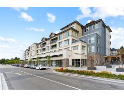 A213 20487 65 AVENUE, Langley, British Columbia