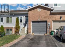 LOWER LEVEL - 58 AVENUE STREET, Oshawa, Ontario