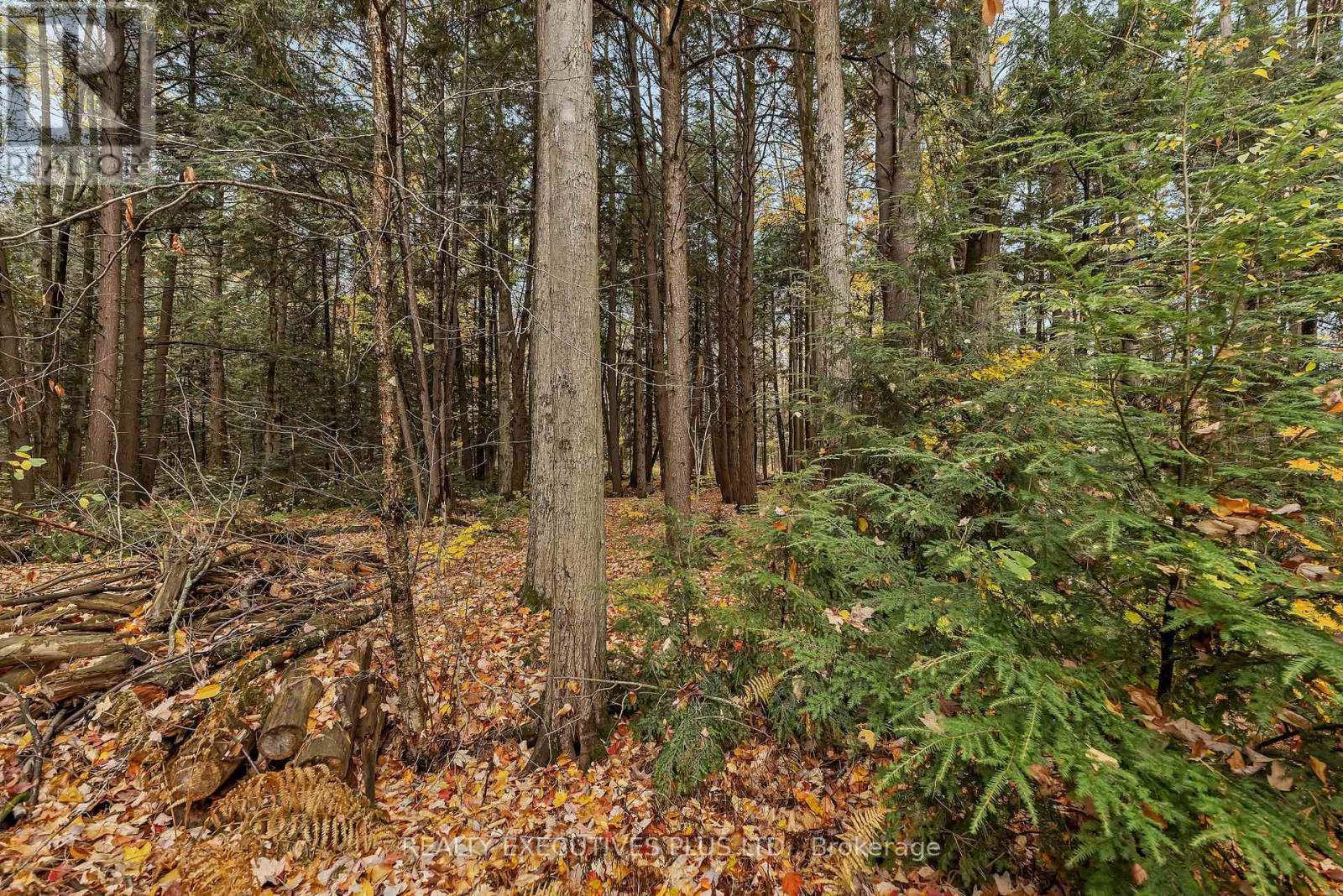 2660 Dubois Street, Clarence-Rockland, Ontario  K4K 1K7 - Photo 34 - X12474466