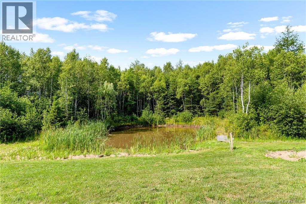 9 Streamside Court, Moncton, New Brunswick  E1G 5T5 - Photo 5 - NB124022