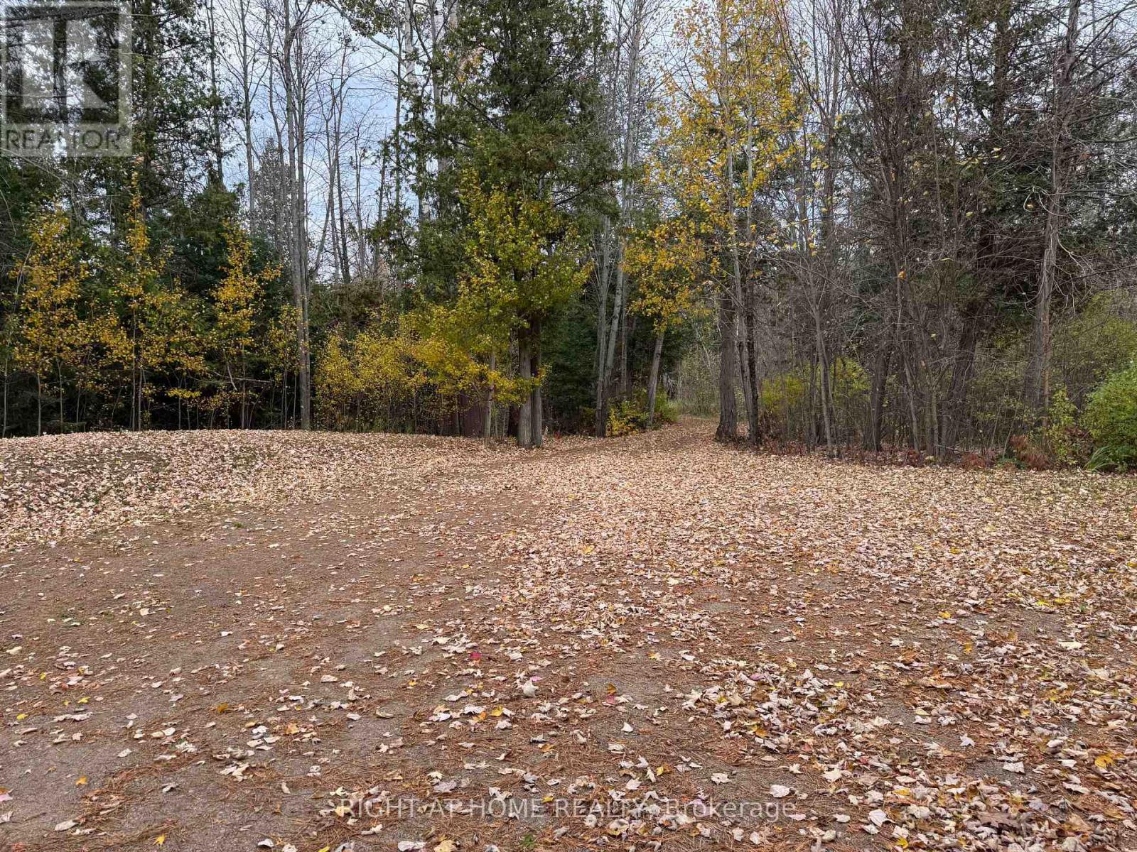 549 Red Rock Rd Road, Killaloe, Ontario  K0J 2A0 - Photo 45 - X12475142