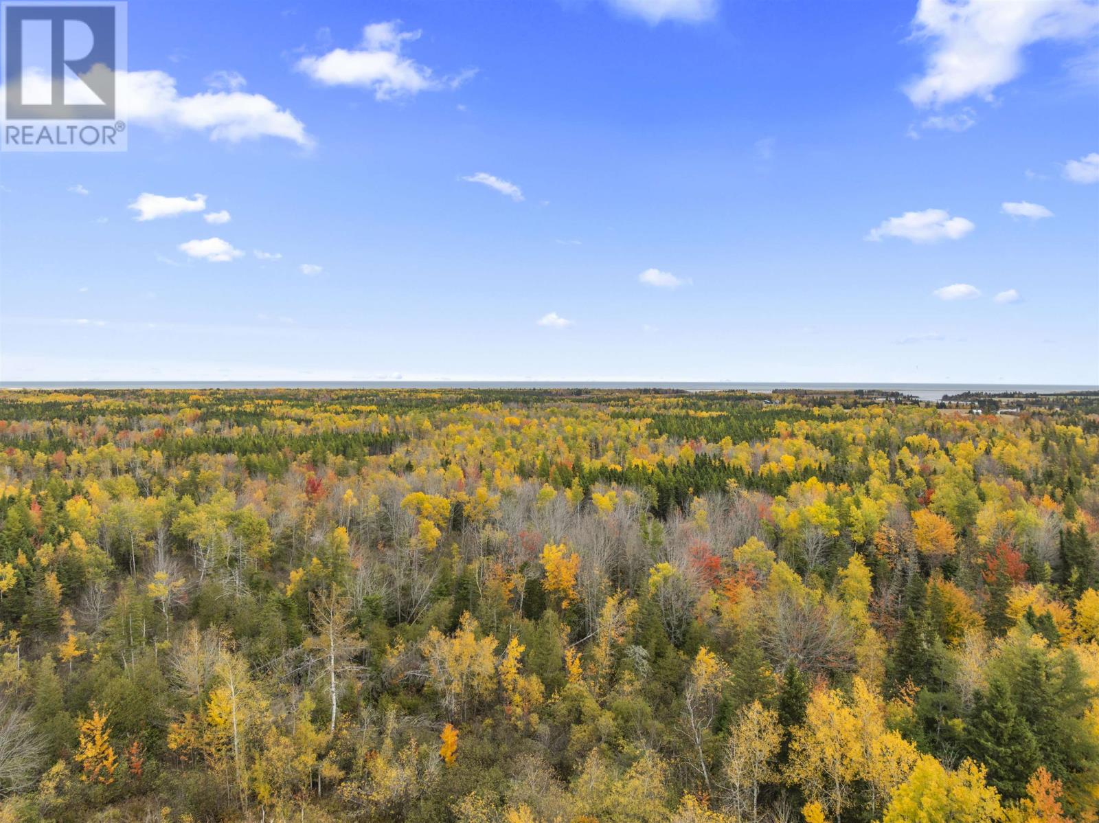 9554 Rte 12, Freeland, Prince Edward Island  C0B 1J0 - Photo 7 - 202526309