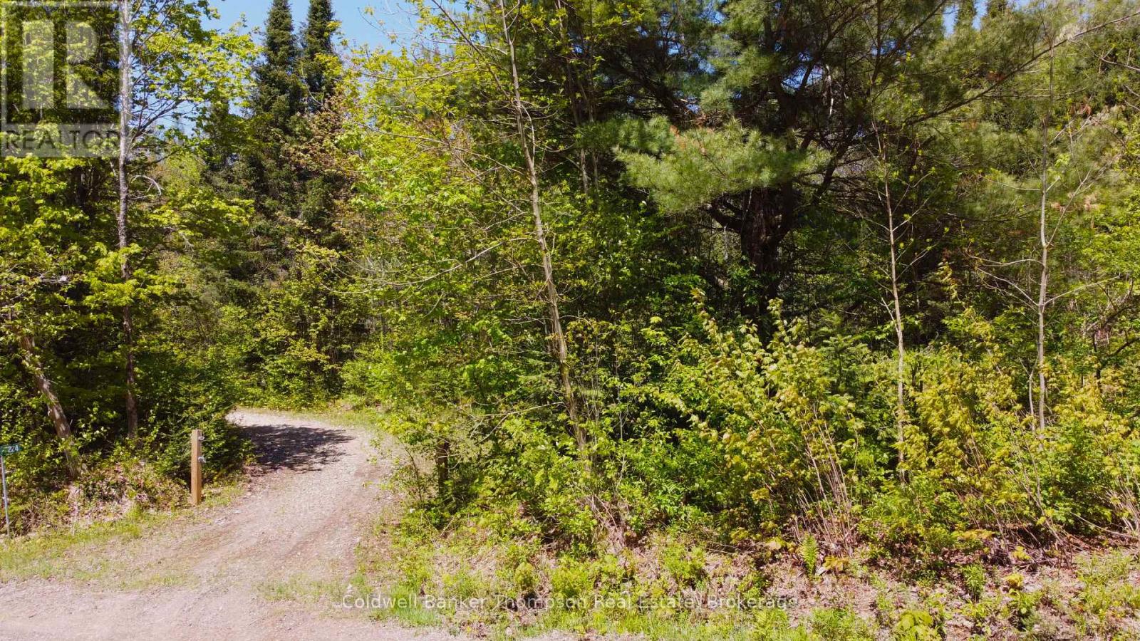 224 Madill Road, Armour, Ontario  P0A 1C0 - Photo 13 - X12475261