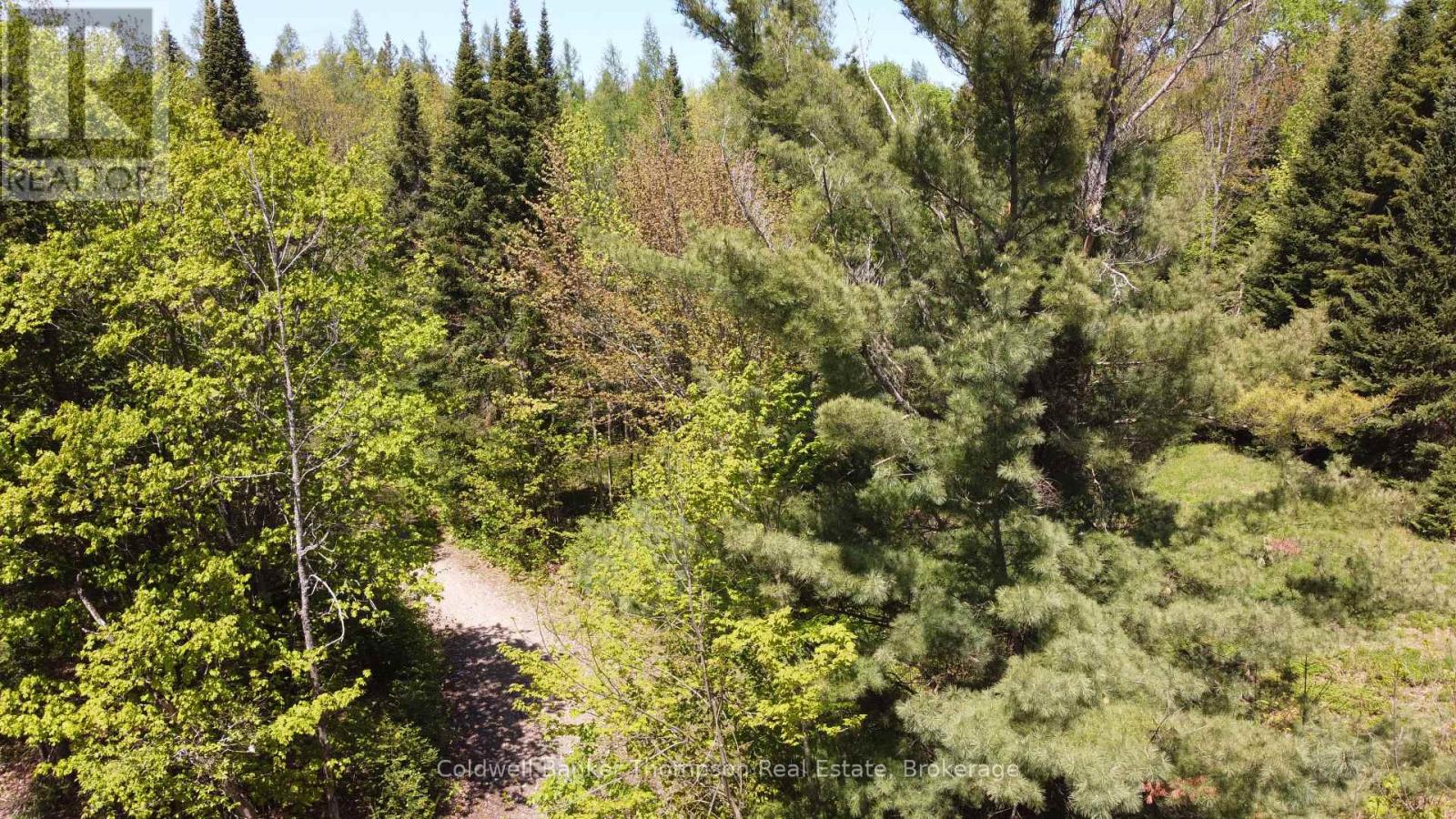 224 Madill Road, Armour, Ontario  P0A 1C0 - Photo 15 - X12475261