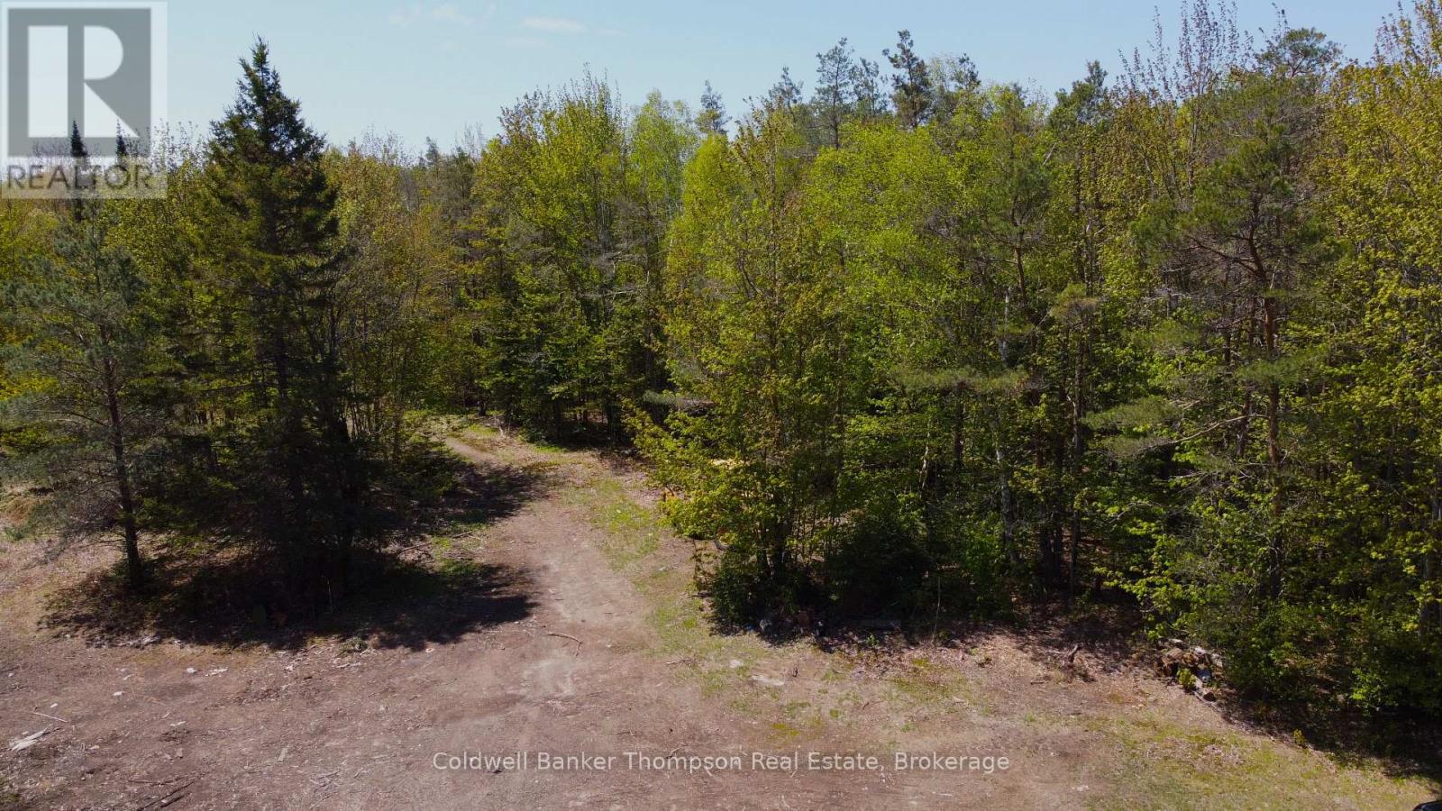 224 Madill Road, Armour, Ontario  P0A 1C0 - Photo 5 - X12475261