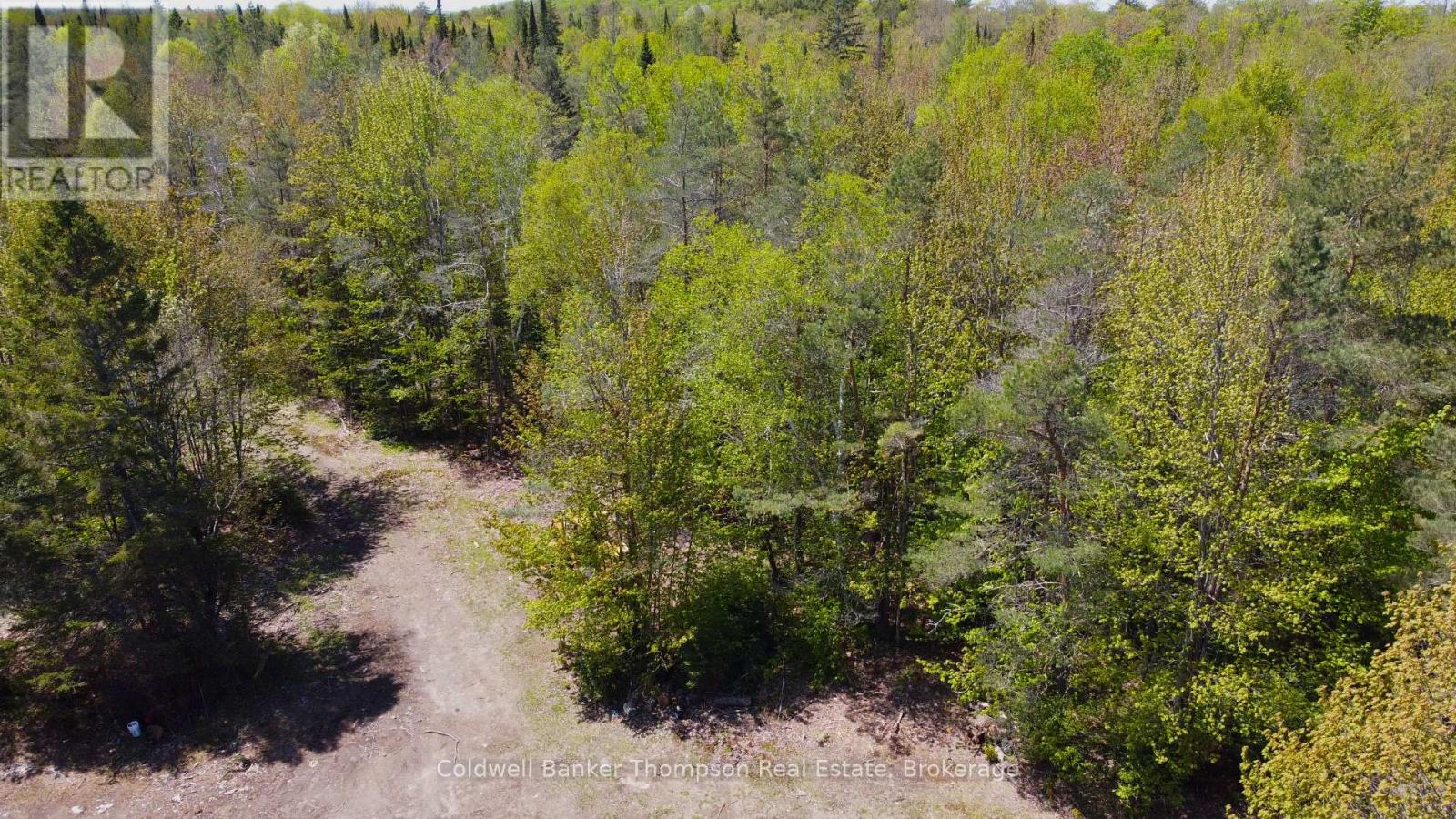 224 Madill Road, Armour, Ontario  P0A 1C0 - Photo 6 - X12475261