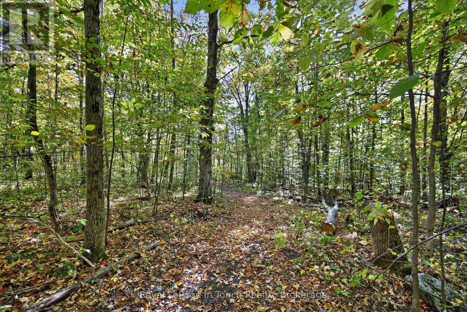 62 Tanners Road, Tay, Ontario  L0K 2C0 - Photo 39 - S12475311
