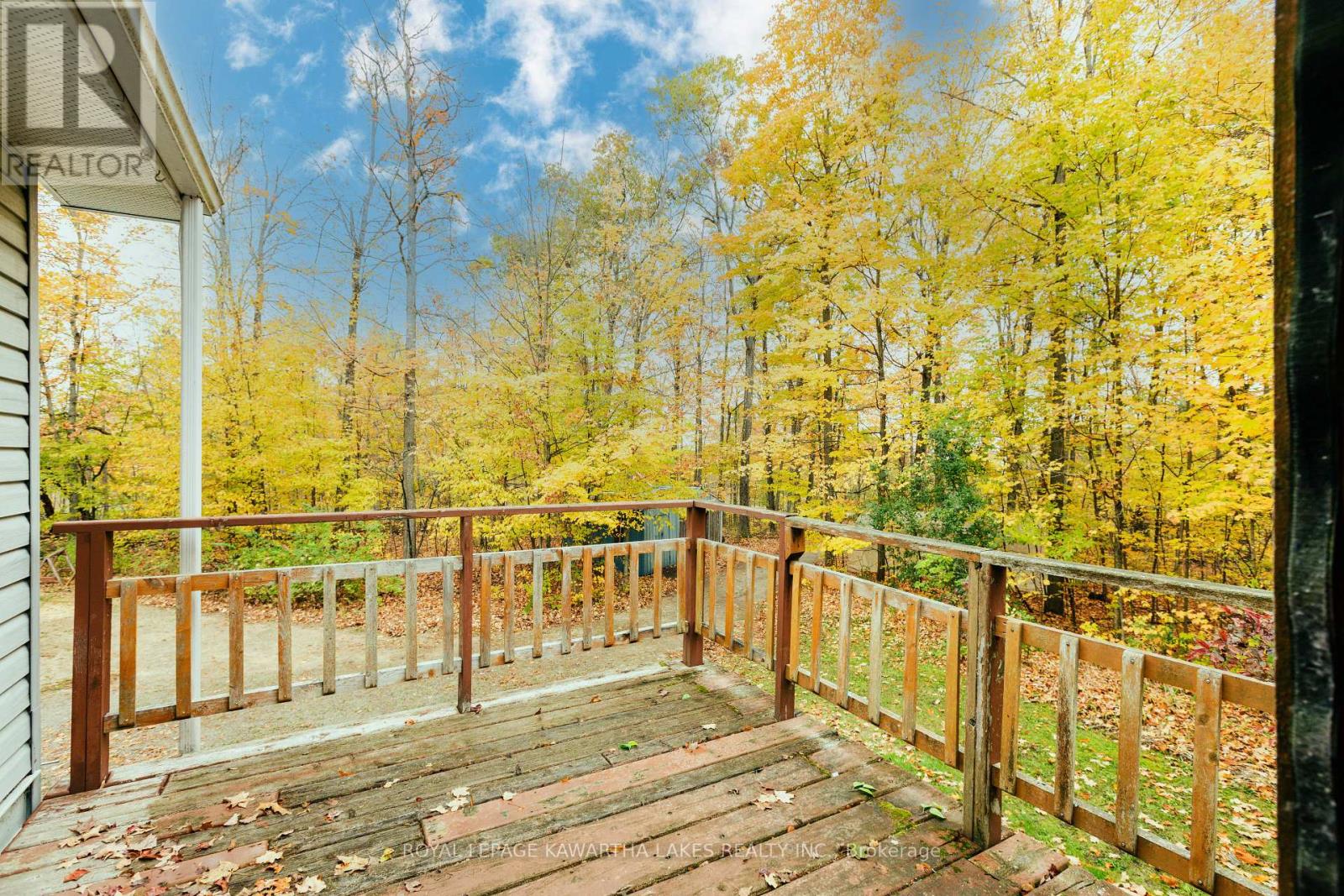 693 Balsam Lake Drive, Kawartha Lakes, Ontario K0M 2B0 - Photo 15 - X12475205