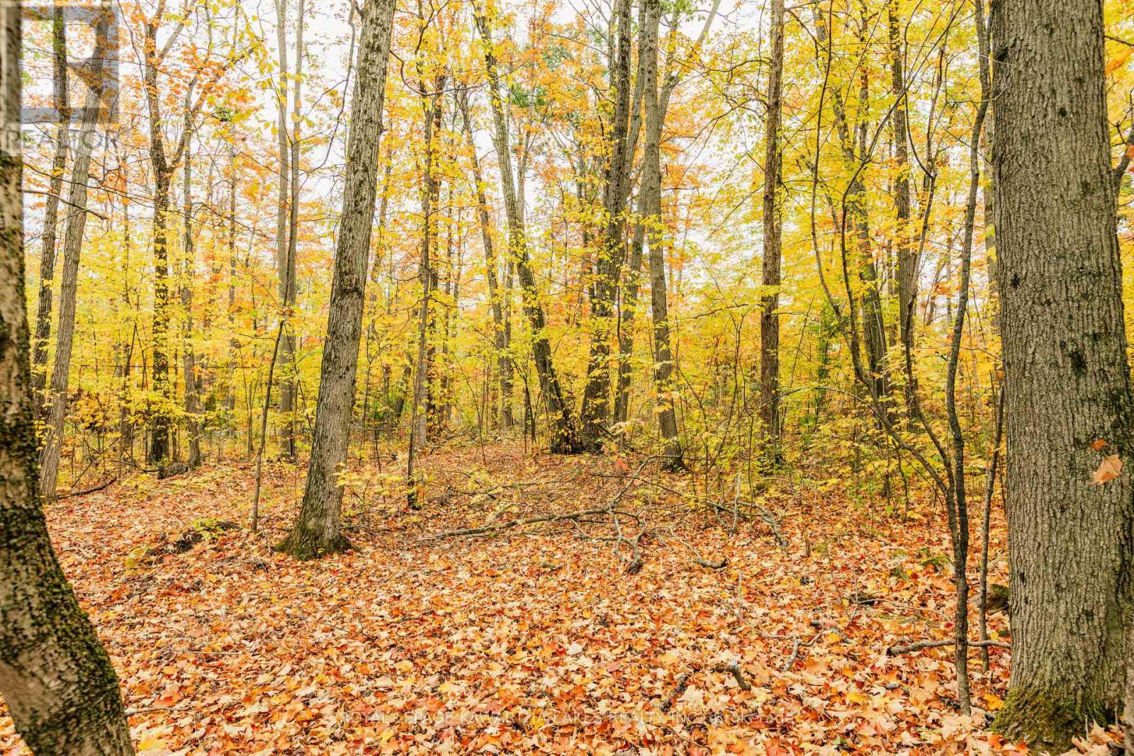 693 Balsam Lake Drive, Kawartha Lakes, Ontario K0M 2B0 - Photo 45 - X12475205