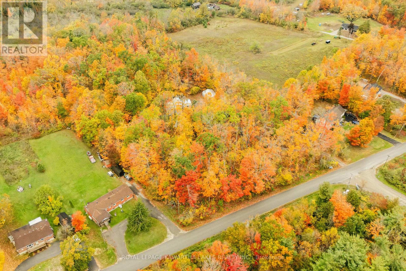 693 Balsam Lake Drive, Kawartha Lakes, Ontario K0M 2B0 - Photo 47 - X12475205