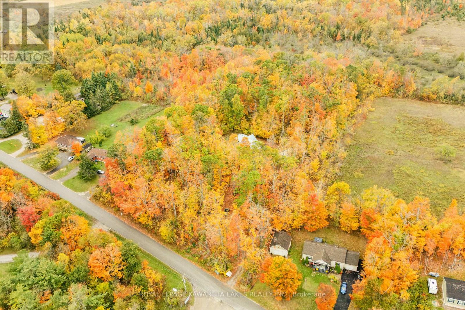 693 Balsam Lake Drive, Kawartha Lakes, Ontario K0M 2B0 - Photo 48 - X12475205