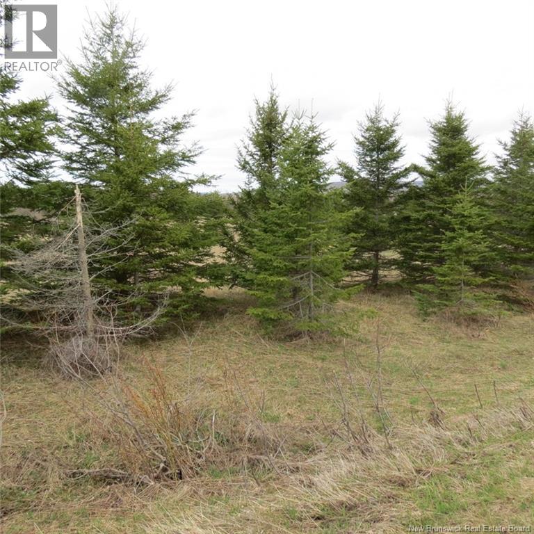 00 Knowlesville Road, Knowlesville, New Brunswick  E4L 4P9 - Photo 4 - NB128953