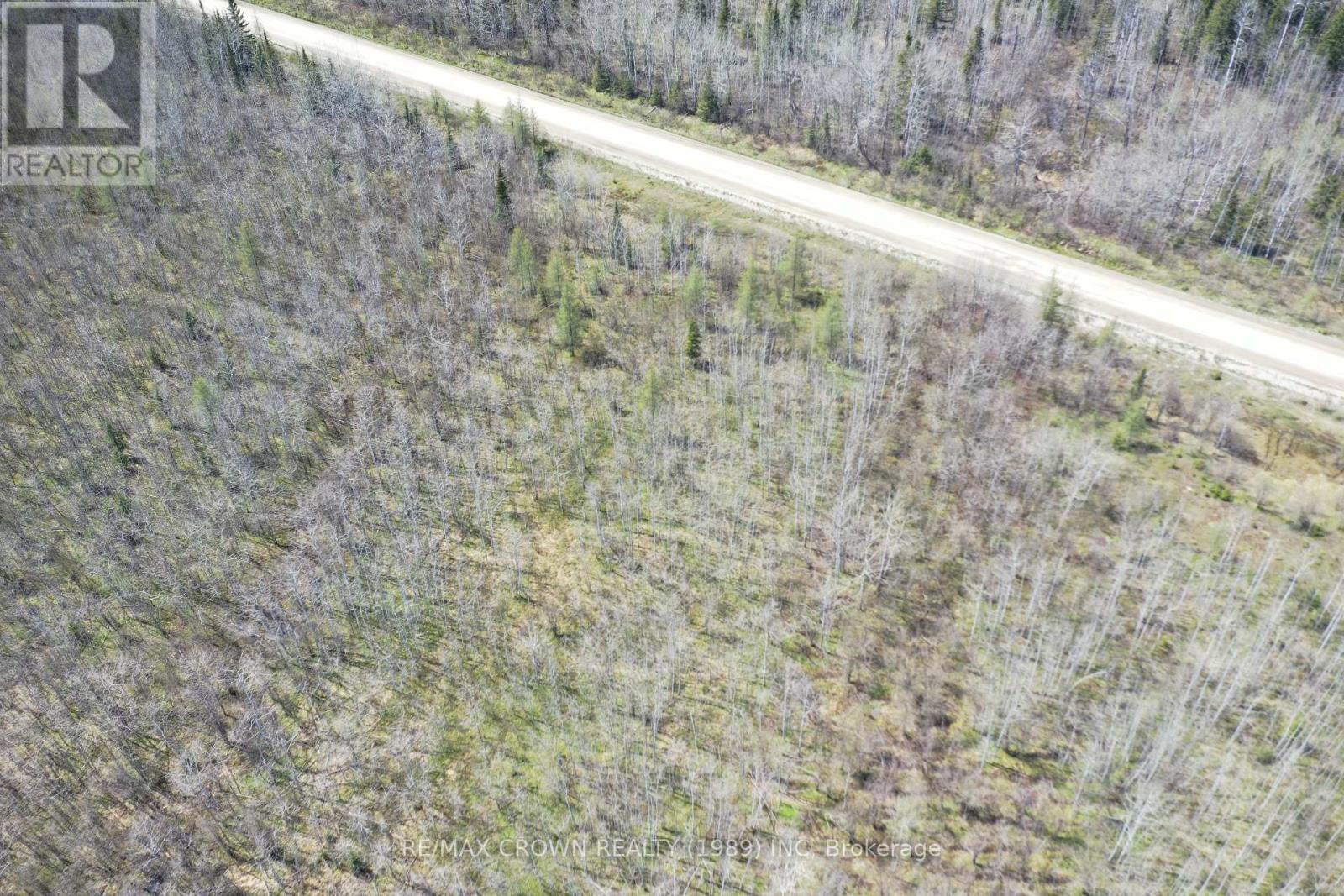 73 Clear Lake North Road, Kapuskasing, Ontario P5N 2X7 - Photo 5 - T12475345