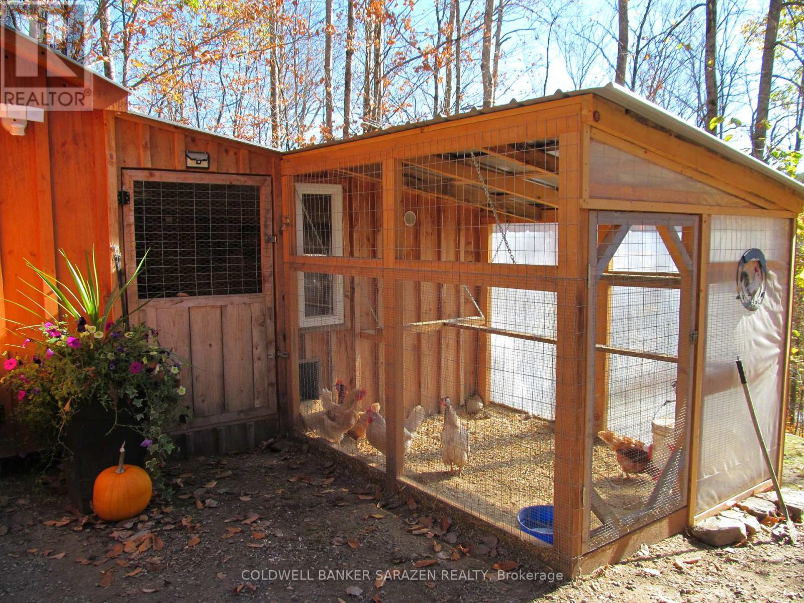 4054b Calabogie Road, Greater Madawaska, Ontario  K0J 1H0 - Photo 13 - X12469977