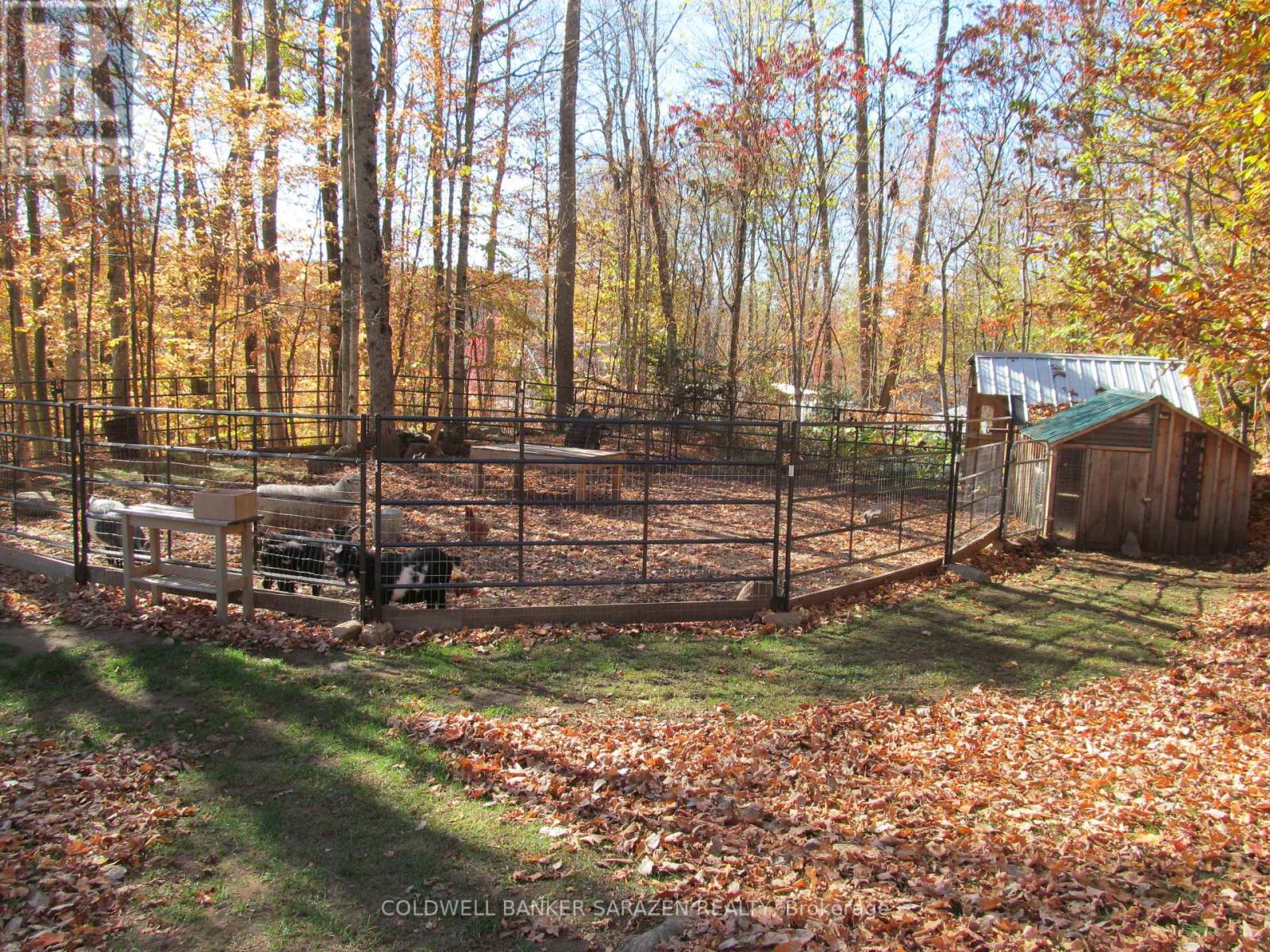 4054b Calabogie Road, Greater Madawaska, Ontario  K0J 1H0 - Photo 37 - X12469977