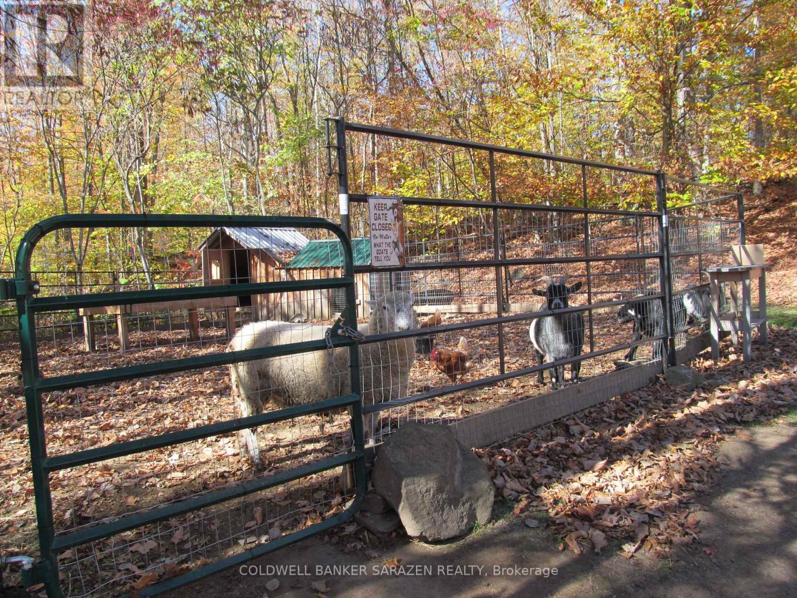 4054b Calabogie Road, Greater Madawaska, Ontario  K0J 1H0 - Photo 36 - X12469977