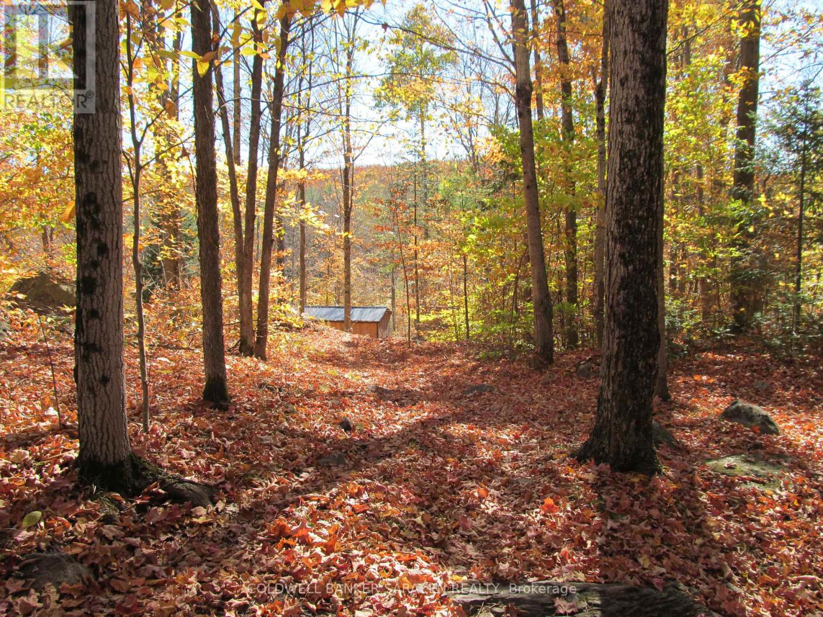 4054b Calabogie Road, Greater Madawaska, Ontario  K0J 1H0 - Photo 39 - X12469977