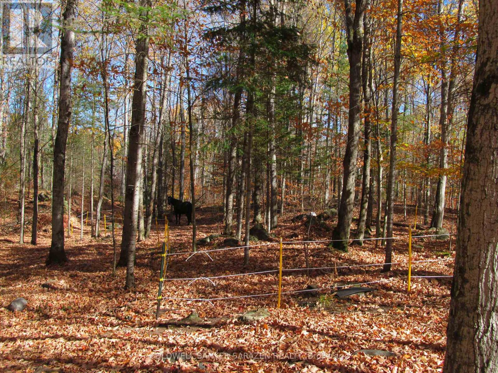 4054b Calabogie Road, Greater Madawaska, Ontario  K0J 1H0 - Photo 40 - X12469977