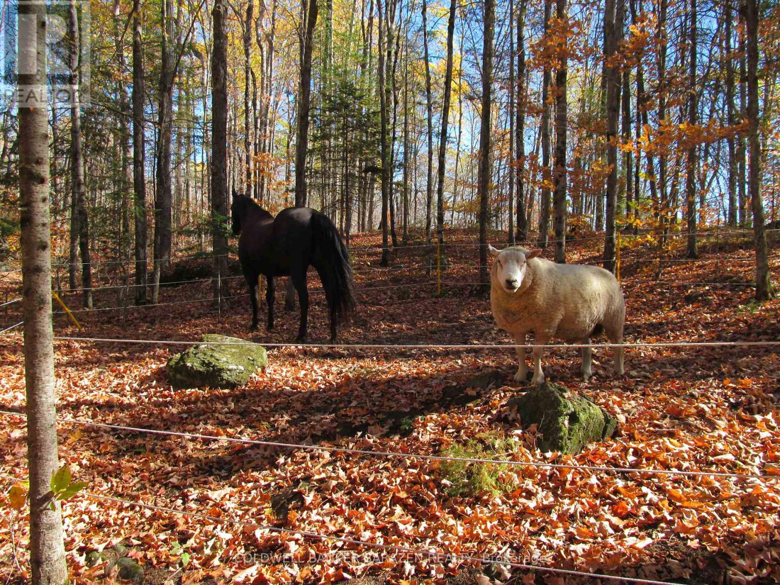 4054b Calabogie Road, Greater Madawaska, Ontario  K0J 1H0 - Photo 41 - X12469977