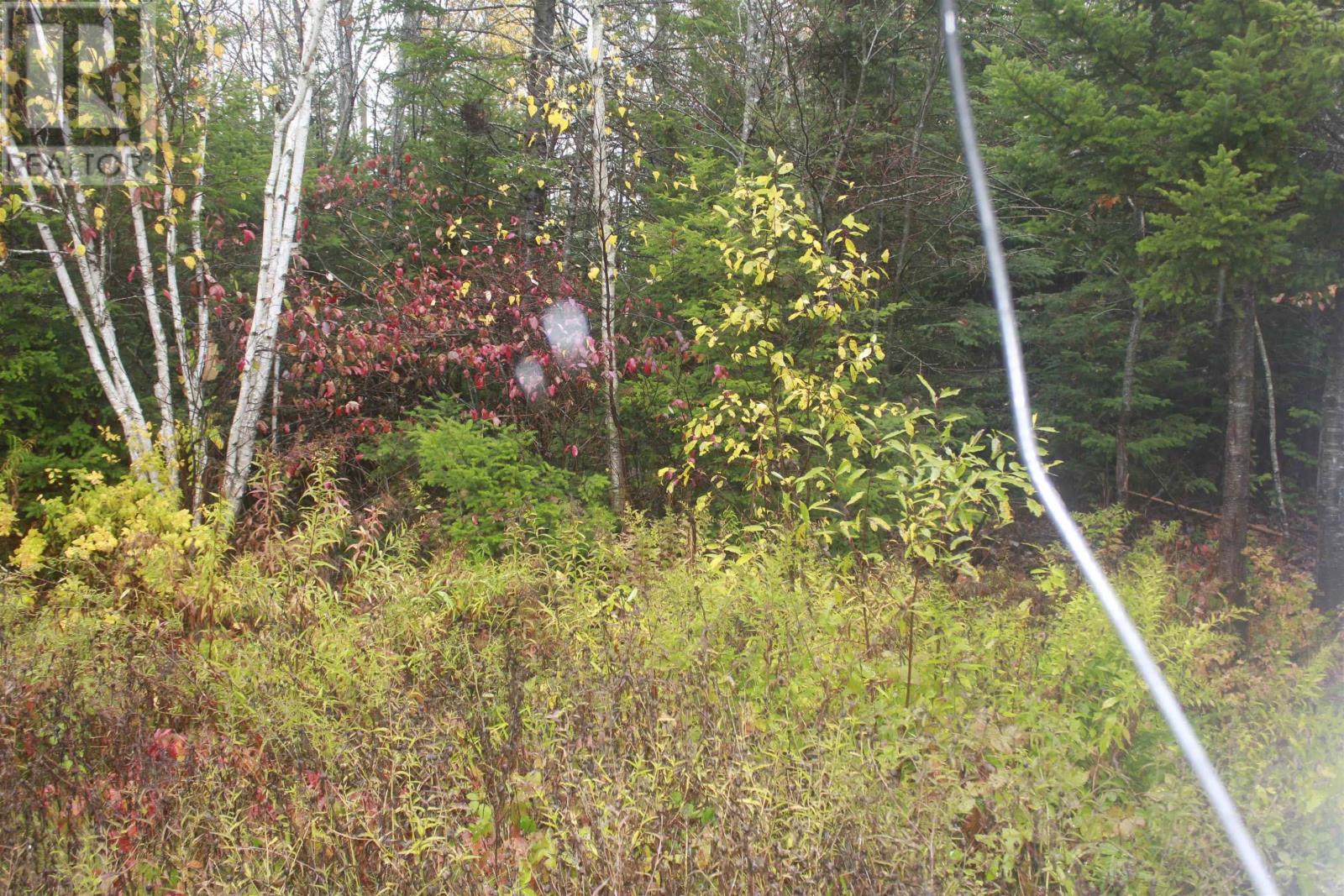 83 Pleasant Valley Road, Pleasant Valley, Nova Scotia  B0N 2M0 - Photo 25 - 202526320