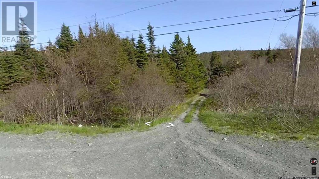 1274 Blackhead Road, St. John's, Newfoundland & Labrador  A1C 5H2 - Photo 1 - 1279720