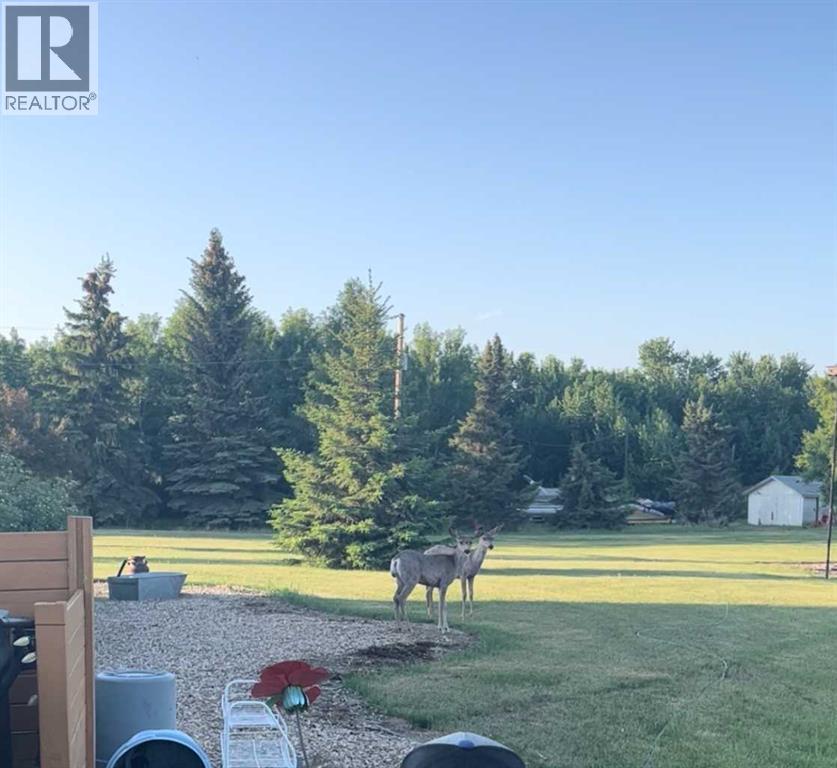 41243 Range Road 205, Rural Camrose County, Alberta  T0B 0H0 - Photo 43 - A2266061