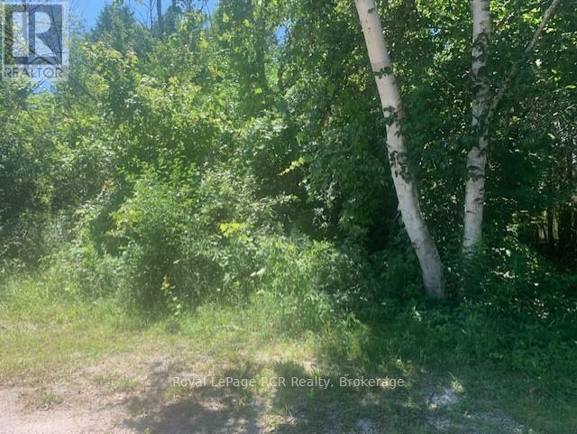 8 Ross Street, South Bruce Peninsula, Ontario  N0H 2T0 - Photo 4 - X12332607