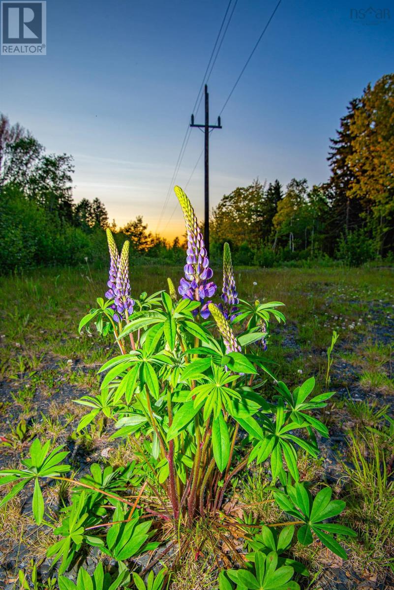 Lot Acacia Valley Road, Acaciaville, Nova Scotia  B0V 1A0 - Photo 8 - 202513986