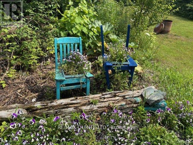 18610 Hwy 62 Highway, Tudor And Cashel, Ontario  K0K 2K0 - Photo 12 - X12465874