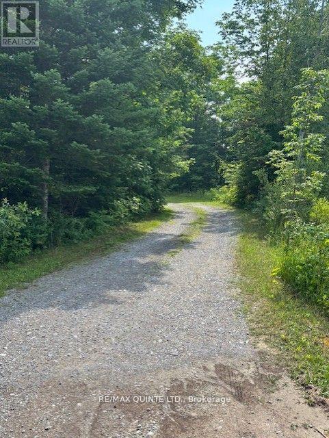 18610 Hwy 62 Highway, Tudor And Cashel, Ontario  K0K 2K0 - Photo 5 - X12465874