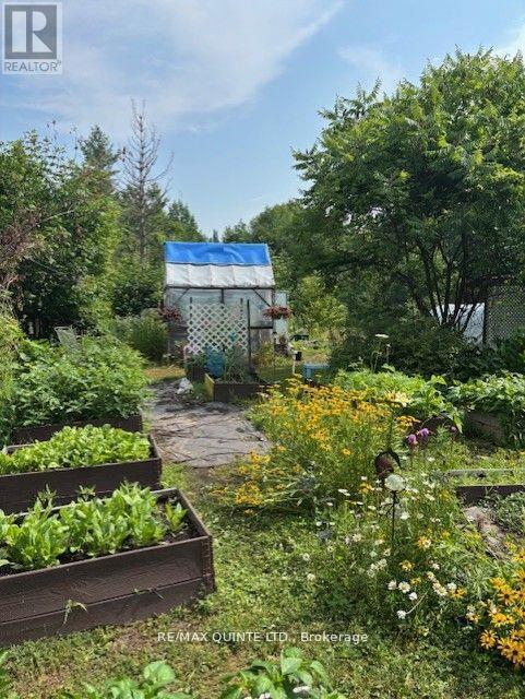 18610 Hwy 62 Highway, Tudor And Cashel, Ontario  K0K 2K0 - Photo 7 - X12465874