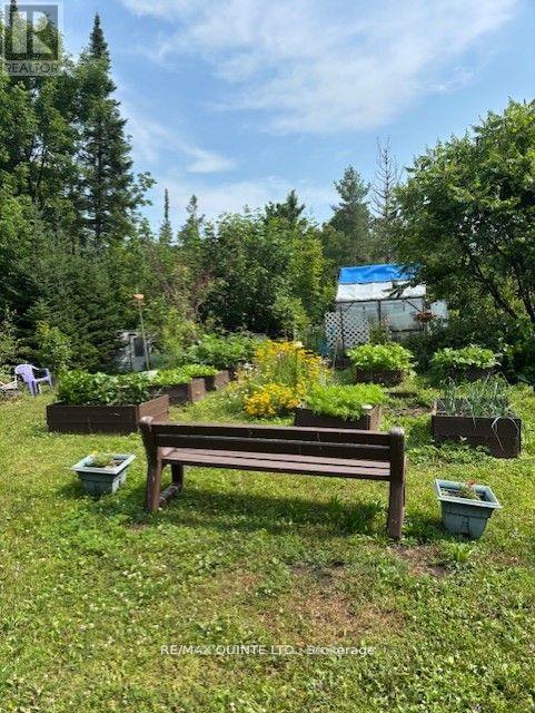 18610 Hwy 62 Highway, Tudor And Cashel, Ontario  K0K 2K0 - Photo 8 - X12465874