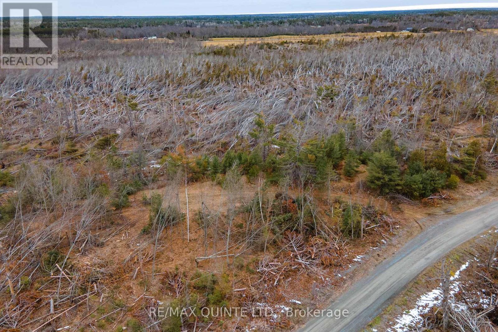 0 Potter Settlement Road, Tweed, Ontario  K0K 3J0 - Photo 7 - X12332132