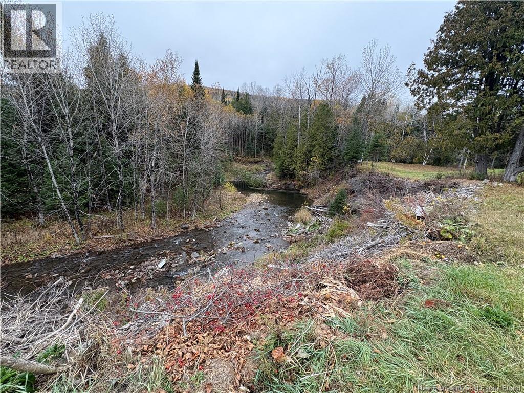 Route 105, Tilley, New Brunswick  E7G 1L8 - Photo 6 - NB128769