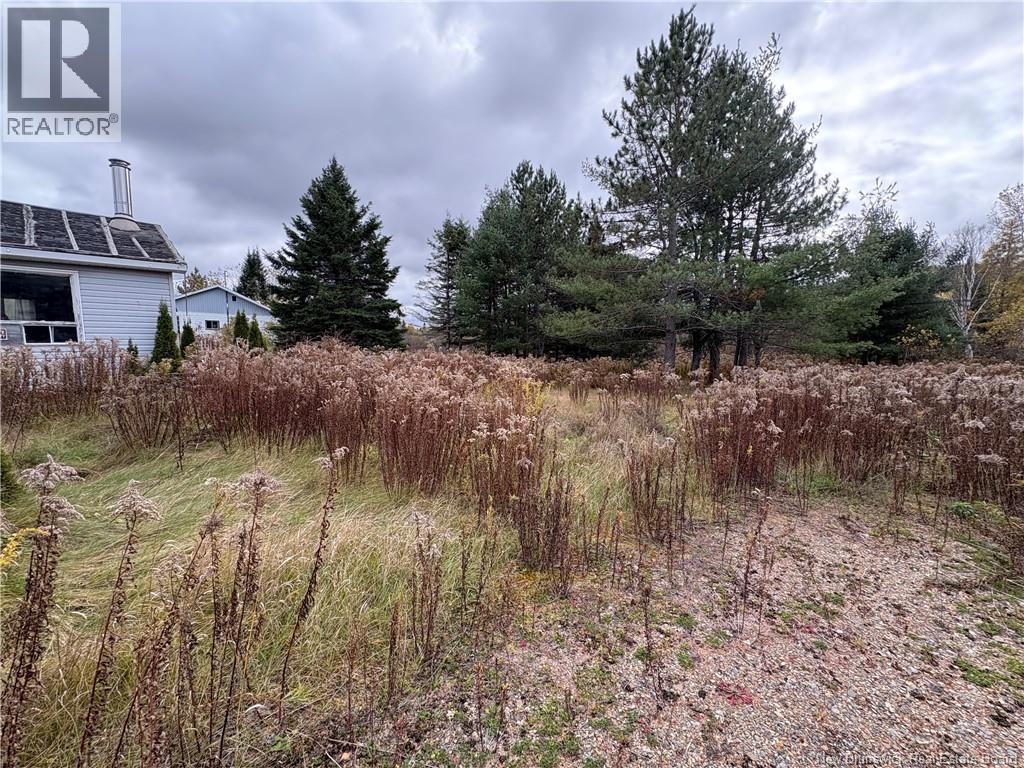 11 Deleavy Road, Hazeldean, New Brunswick  E7G 1L8 - Photo 4 - NB128753