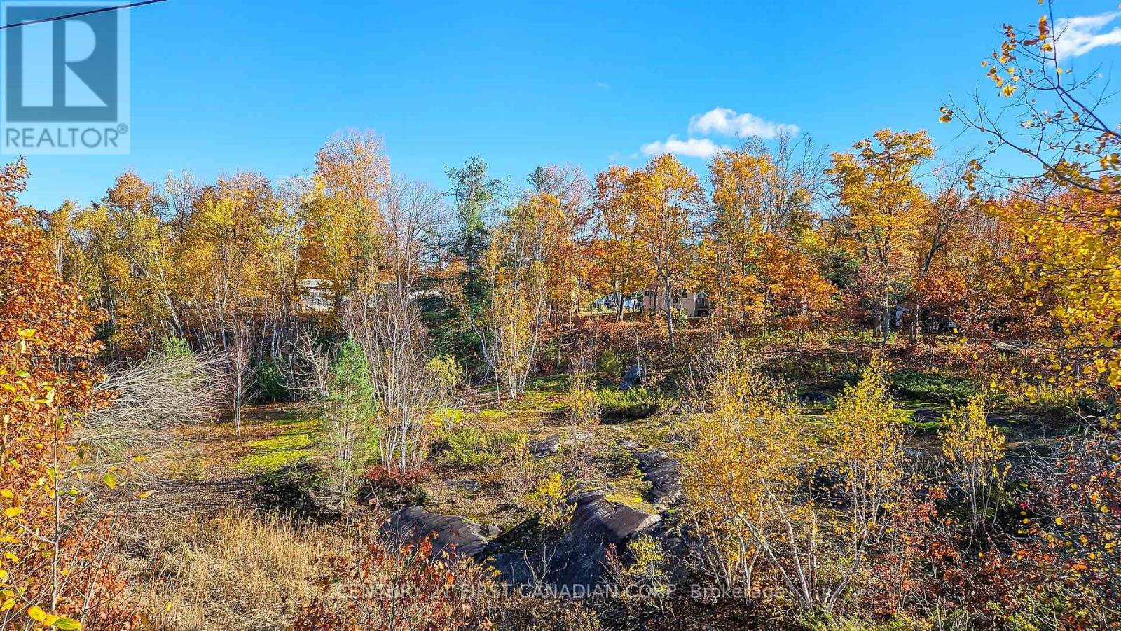45 Tower Road, Georgian Bay, Ontario  P0C 1H0 - Photo 15 - X12475837