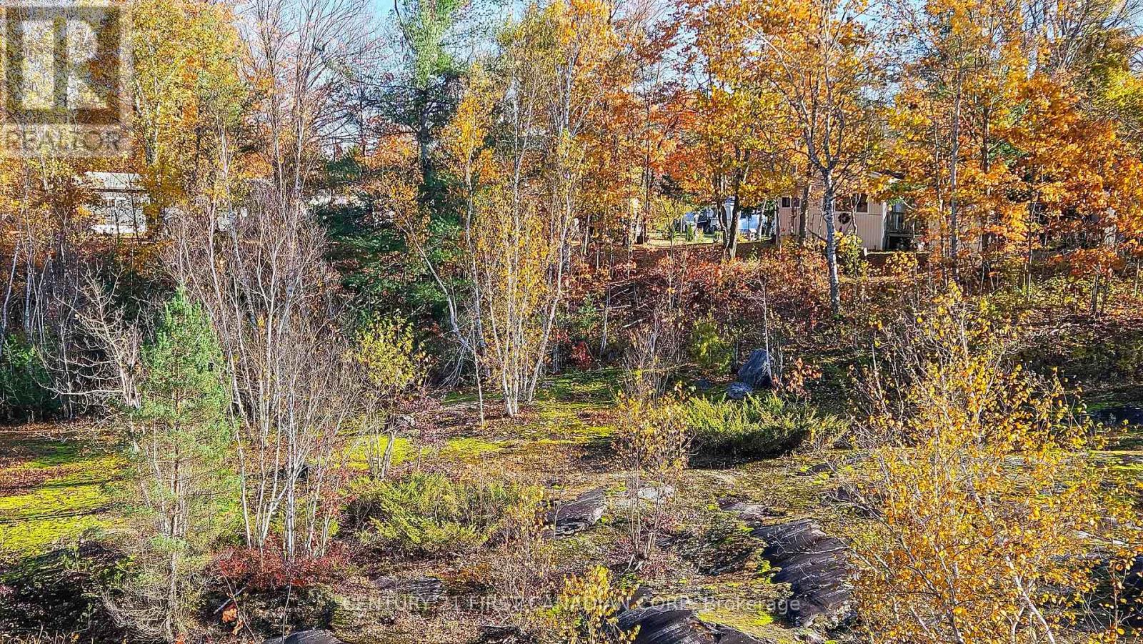 45 Tower Road, Georgian Bay, Ontario  P0C 1H0 - Photo 16 - X12475837