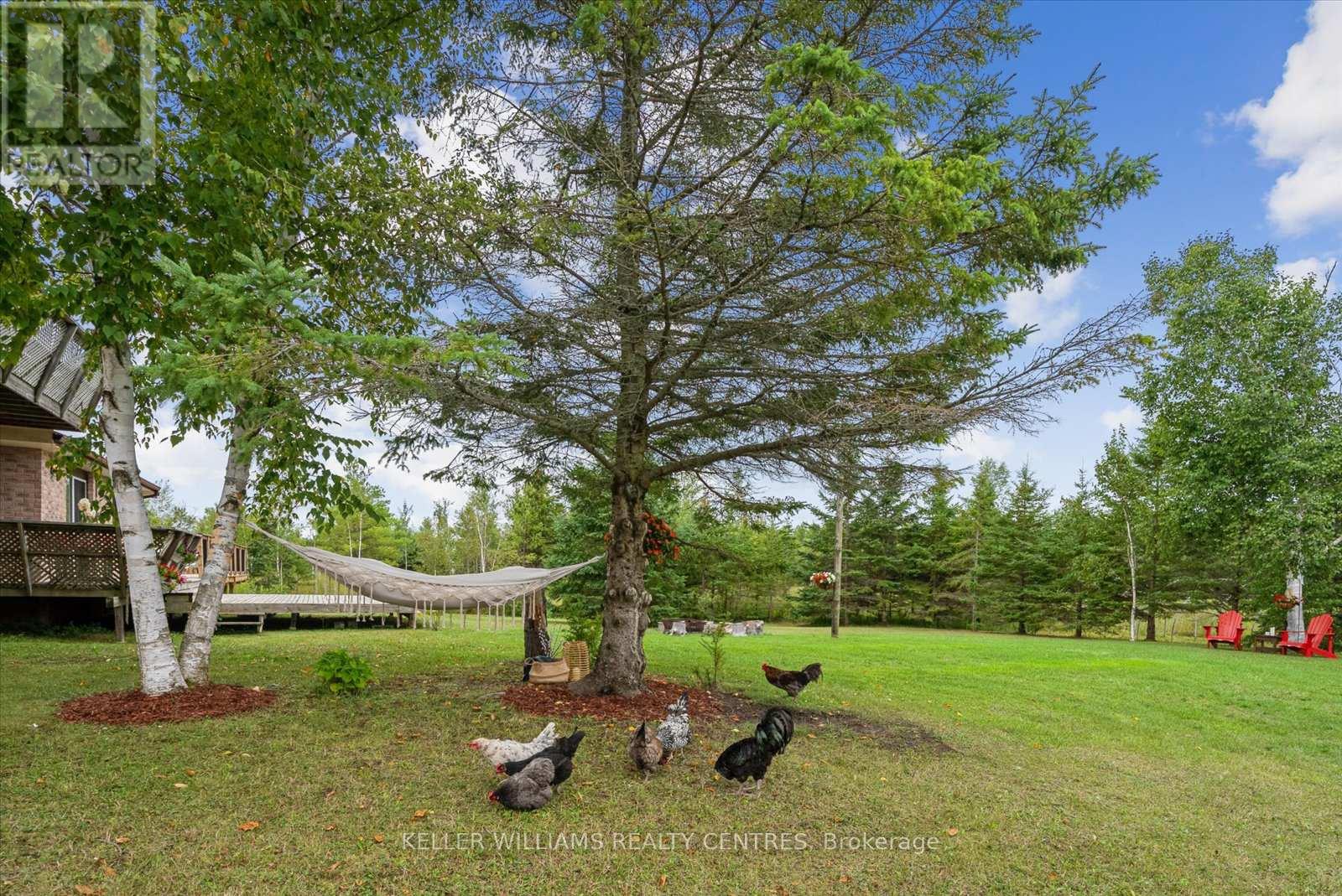 25154 Valley View Drive, Georgina (Sutton & Jackson's Point), Ontario  L0E 1R0 - Photo 45 - N12475352