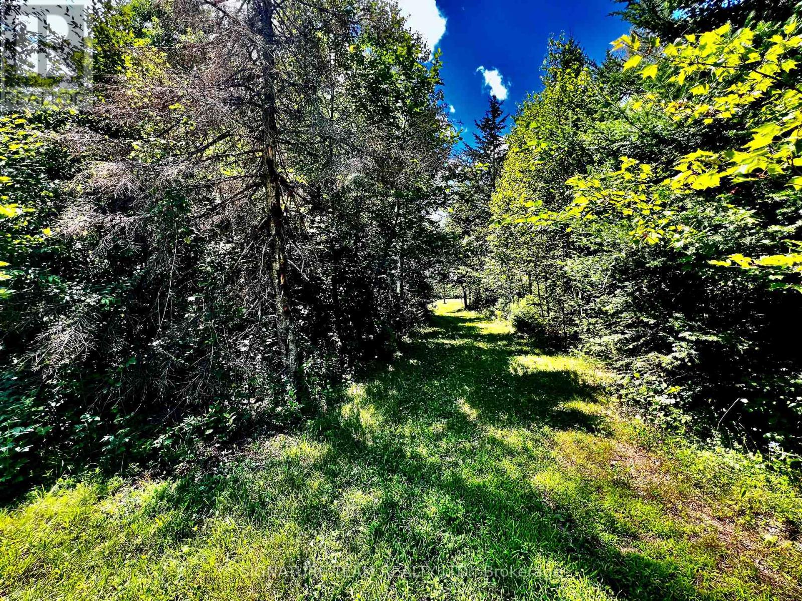 174 Budd Road, Bonnechere Valley, Ontario  K0J 1T0 - Photo 20 - X12475781