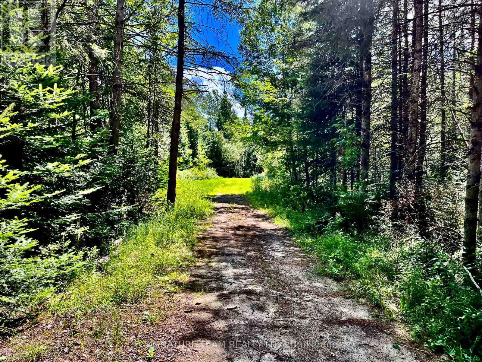 174 Budd Road, Bonnechere Valley, Ontario  K0J 1T0 - Photo 39 - X12475781